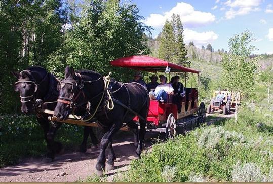 Parade Rest Ranch West Yellowstone Kültér fotó